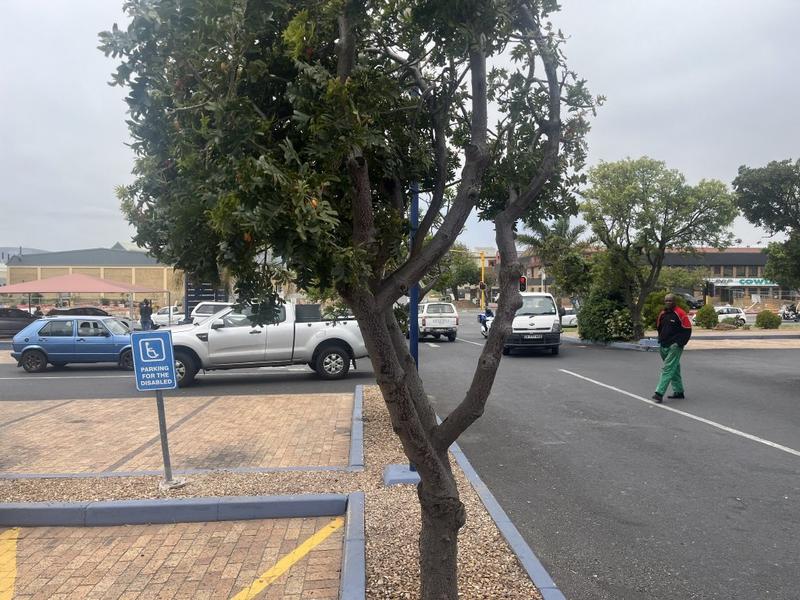 To Let commercial Property for Rent in Montague Gardens Western Cape